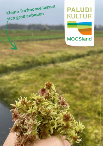 Postkarte Torfmoos aus Kultivierungsfläche (A6)